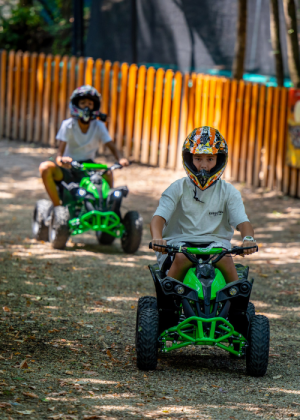 ATV Magic Woodland