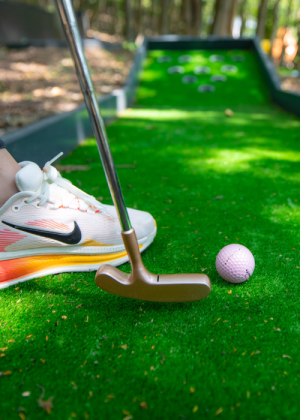 Minigolf Magic Woodland