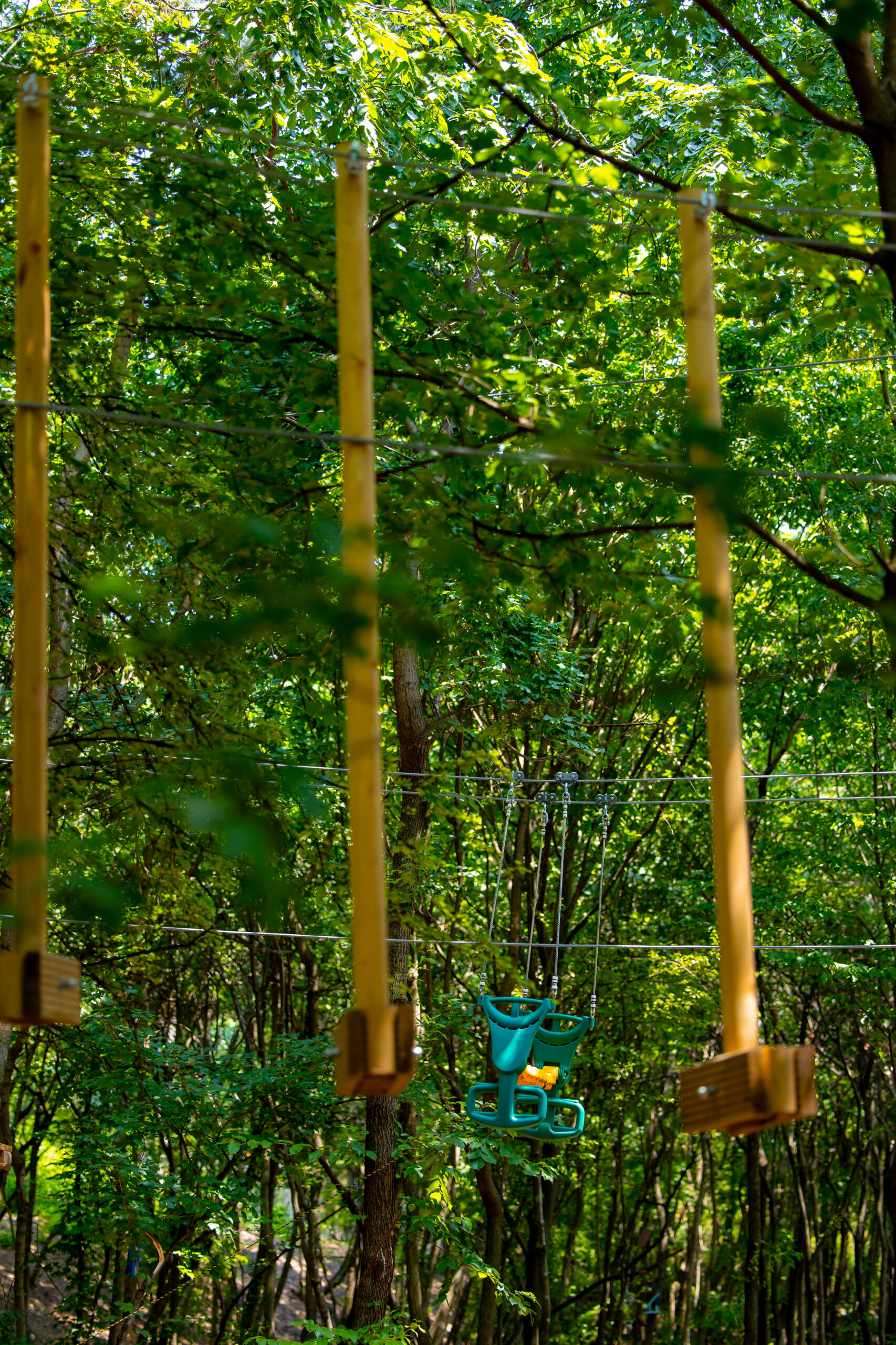 Magic Woodland