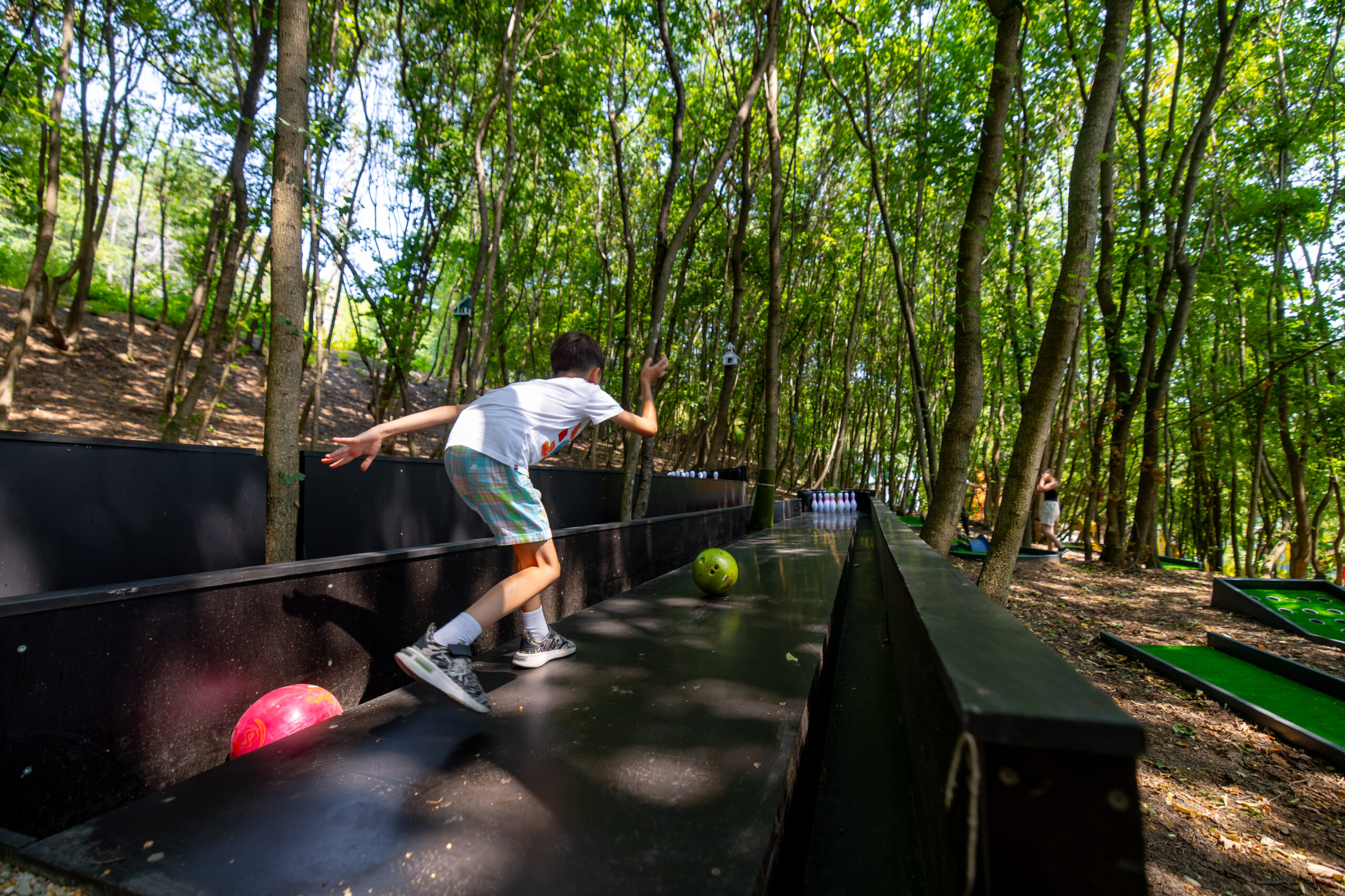 Jocuri sport Magic Woodland