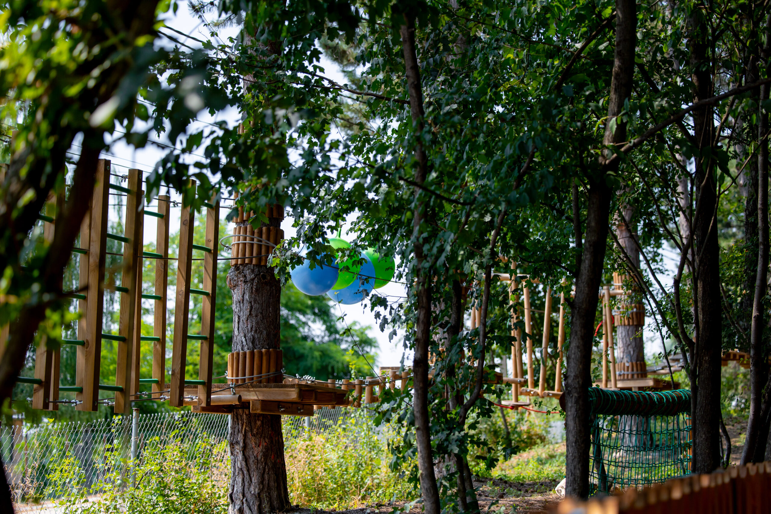 Magic Woodland