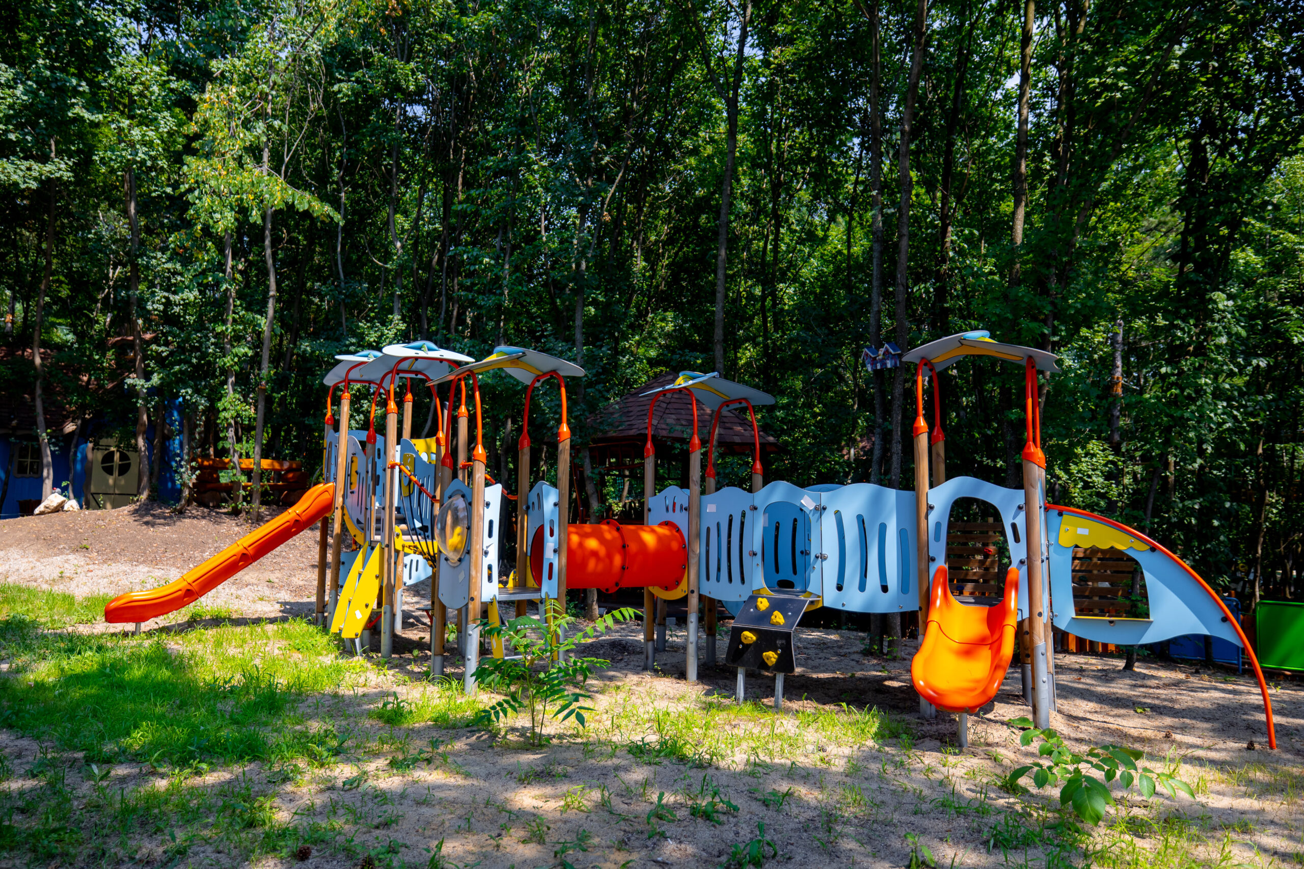Magic Woodland