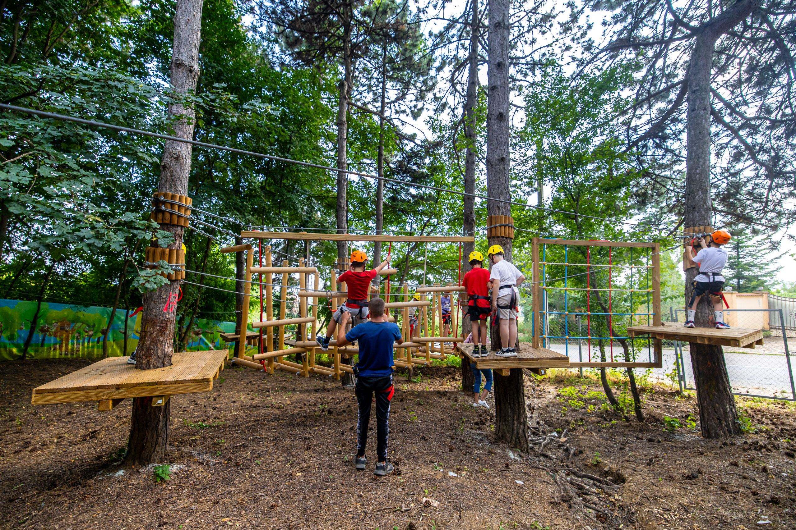 Escaladă Magic Woodland