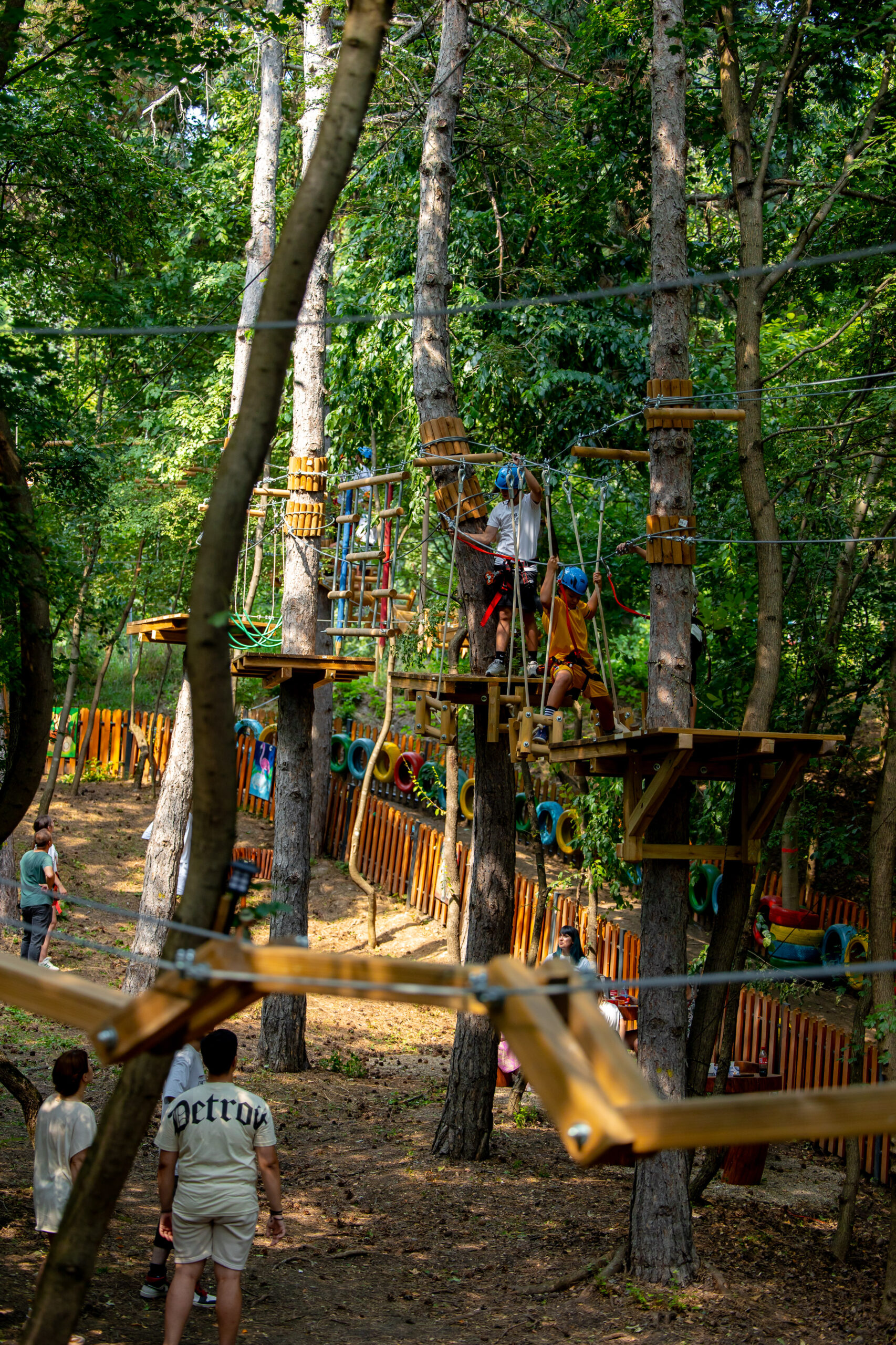Magic Woodland